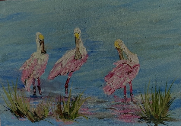 Spoonbill Trio